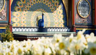 A vibrant peacock statue stands at the center of a decorative arch, which features a colorful fan-like pattern resembling its tail feathers. In the foreground, a bed of blooming yellow and white flowers is visible.