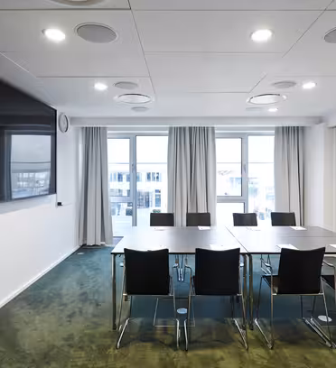 A modern conference room with a large table surrounded by eight black chairs. A wall-mounted flat-screen TV is on the left, and large windows in the back let in natural light. Green carpet and white walls create a clean, professional look.