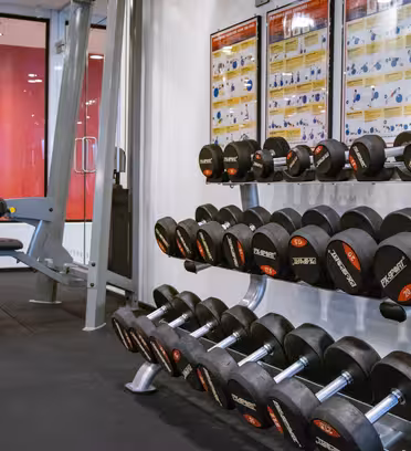 A well-lit gym with a variety of dumbbells neatly organized on a rack. A bench press station is visible in the background, and several fitness posters are displayed on the wall.